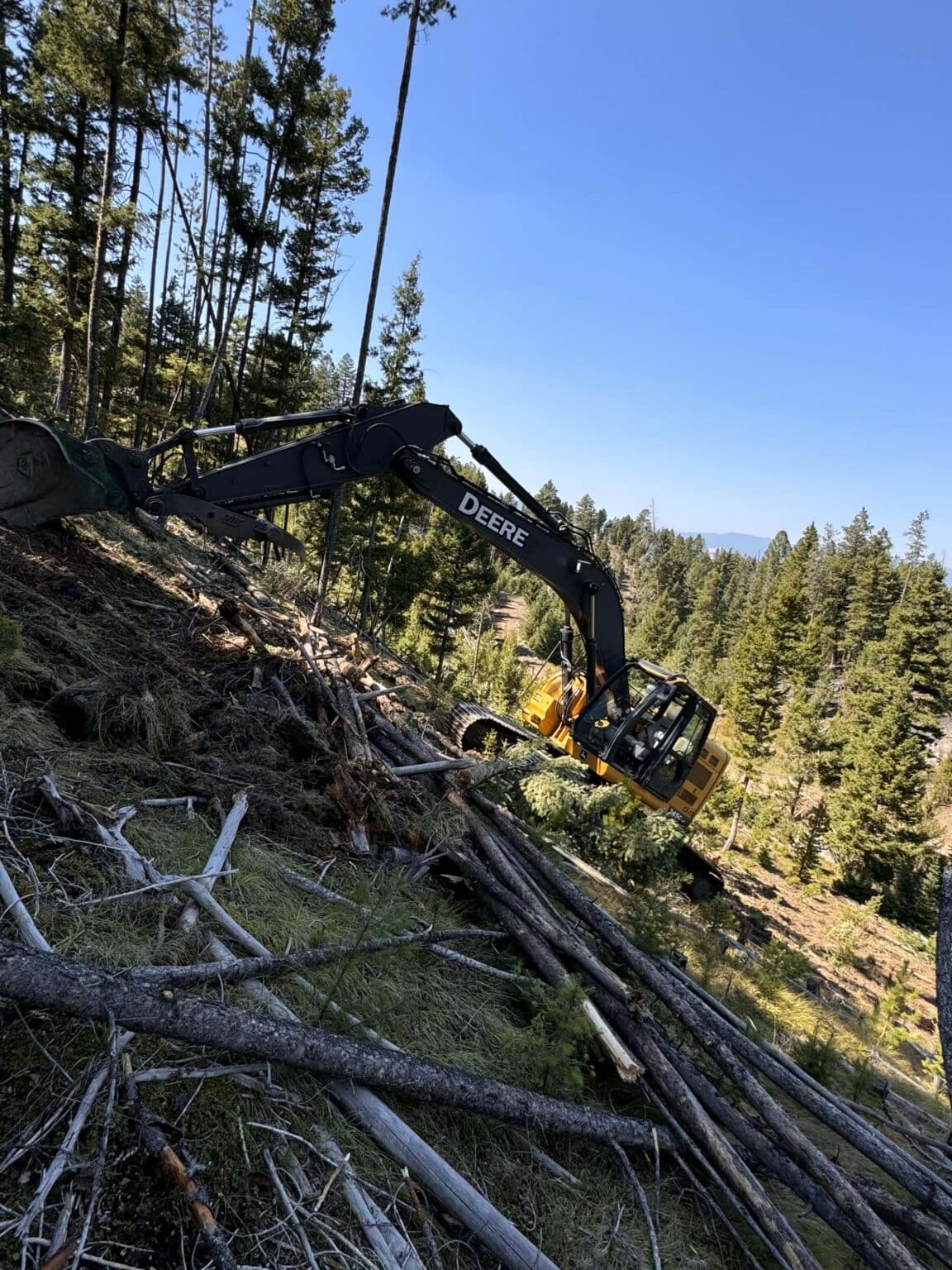 Forestry Services | Mulching & Land Clearing | Welk Excavating